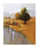 Buy Sage Sensation at AllPosters.com