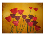 Buy Field Of Poppies at AllPosters.com