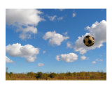 Buy One Last at AllPosters.com