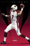 Buy Arizona Cardinals - Matt Leinart at AllPosters.com