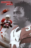 Arizona Cardinals- James