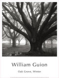 Buy Oak Grove, Winter at AllPosters.com