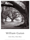Buy Oak Alley, West Row at AllPosters.com