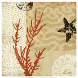 Coral Impressions I