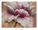 Buy Pink Begonia at AllPosters.com