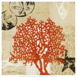 Coral Impressions IV