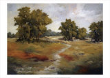 Peaceful Retreat II