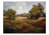 Buy Peaceful Retreat I at AllPosters.com