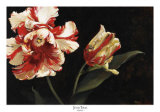 Resplendent Art Print