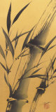 Buy Bamboo's Strength at AllPosters.com
