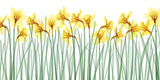 Floral Delight I