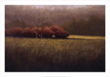 Buy Young Maples at AllPosters.com