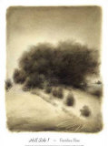 Buy Hill Side I at AllPosters.com