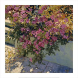 Buy Steps and Summer Flowers at AllPosters.com