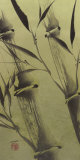 Bamboo