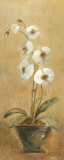 Orchids in Bronze Bowl I
