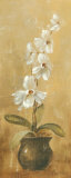 Orchids in Bronze Bowl II