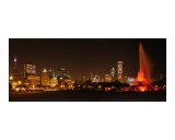 Buy Chicago White Sox  skyline at AllPosters.com