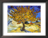 Mulberry Tree, 1889