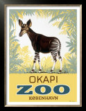 Okapi Copenhagen Zoo