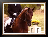 Buy Deep Concentration at AllPosters.com