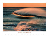 Buy Perfect Wave at AllPosters.com