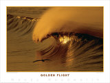 Golden Flight