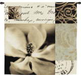 Buy Magnolia Montage at AllPosters.com