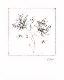 Buy Wispy Flowers II at AllPosters.com