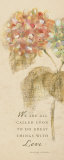 Inspirational Hydrangea II