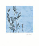 Buy Cosmopolitain Blue II at AllPosters.com