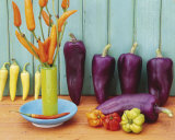 Still Life with Peppers