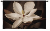 Buy Source II at AllPosters.com