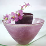 Orchideen Kunstdruck