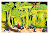 Buy Enchanted Forest at AllPosters.com
