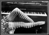 Piano Legs