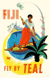 Fiji- Fly By Teal