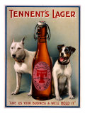 Tennent's Lager