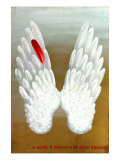 Wings