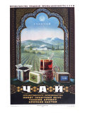 Glavchai Tea