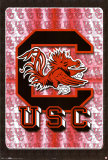 University Of South Carolina