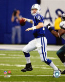 Buy Peyton Manning at AllPosters.com