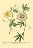 Buy Passion Flower I at AllPosters.com