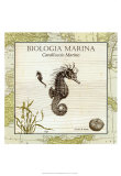 Biologia Marina III