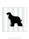Buy Afghan Hound in Neutral at AllPosters.com