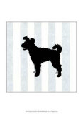 Buy Pumi in Neutral at AllPosters.com