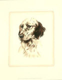 Setter