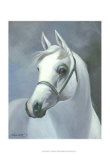 Buy Palomino at AllPosters.com