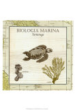 Biologia Marina IV