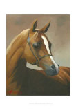 Buy Chestnut at AllPosters.com